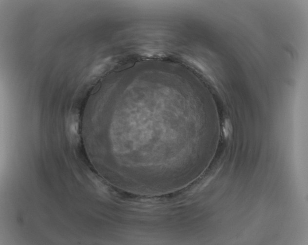 X0000114111396200910191653