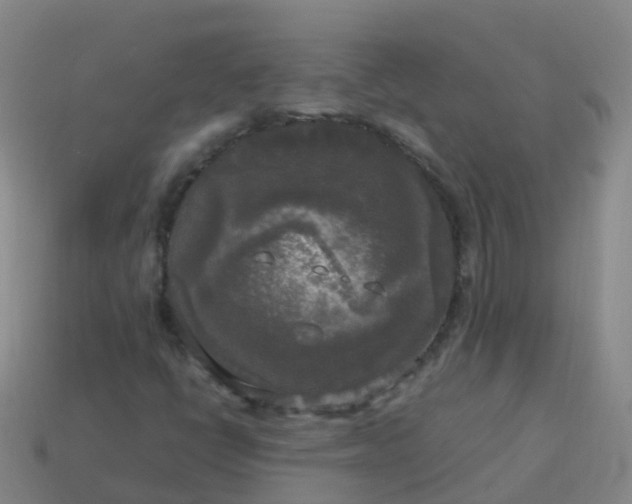 X0000114111398200910191653