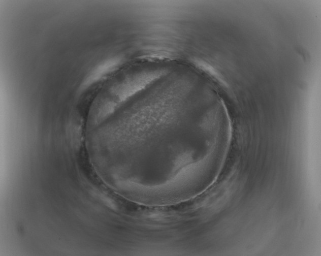 X0000114111399200910191653