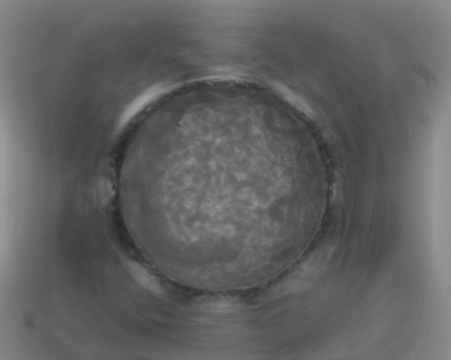 X0000114111400200910191653