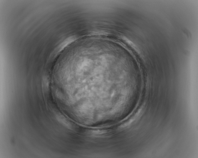 X0000114111401200910191653