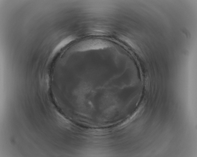 X0000114111402200910191653