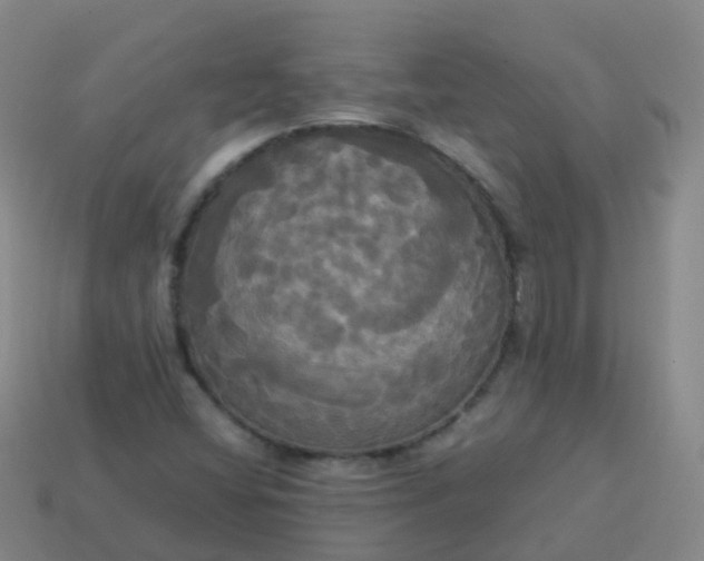 X0000114111404200910191653