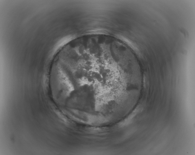 X0000114111405200910191653