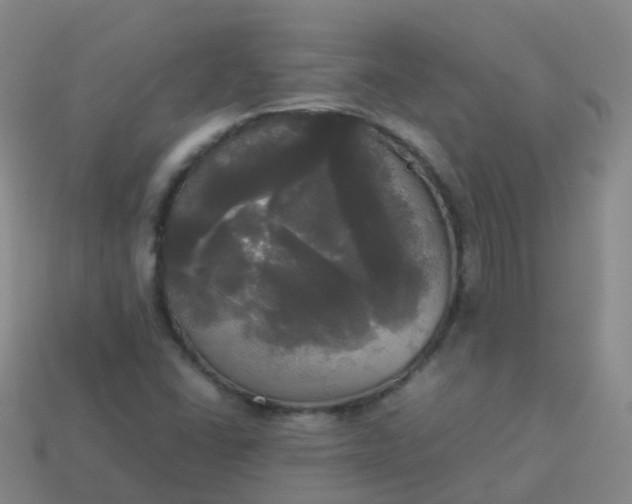 X0000114111406200910191653