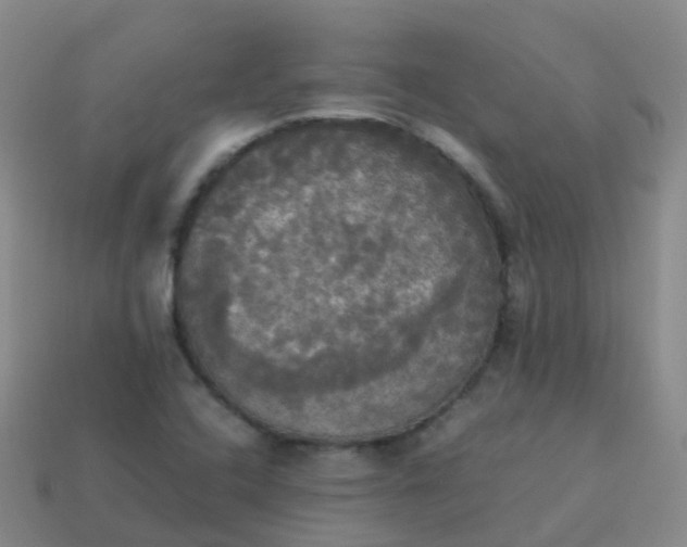 X0000114111408200910191653