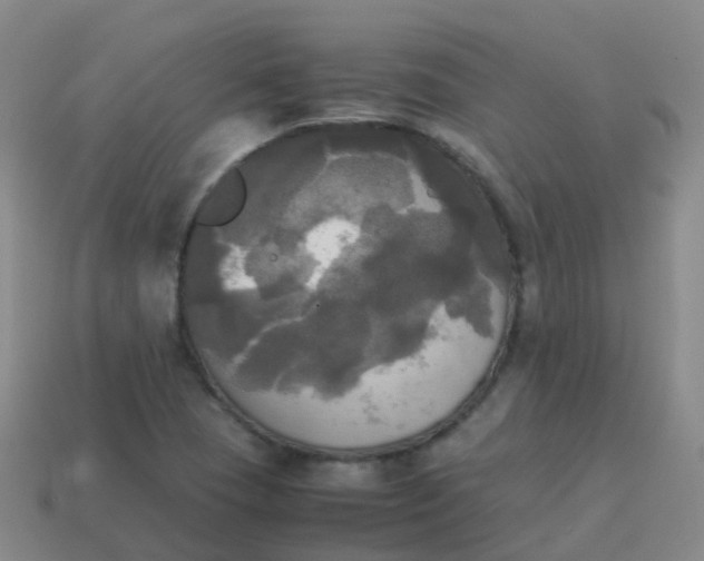 X0000114111409200910191653