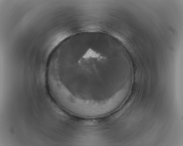 X0000114111410200910191653