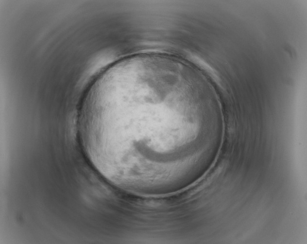 X0000114111411200910191653