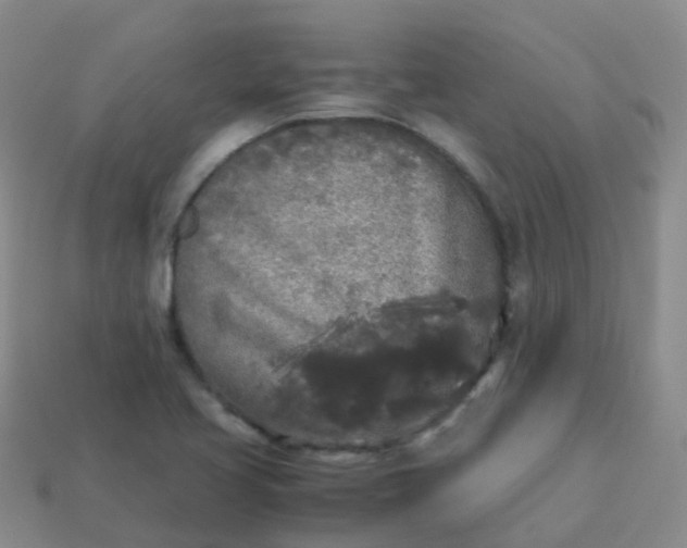 X0000114111413200910191653