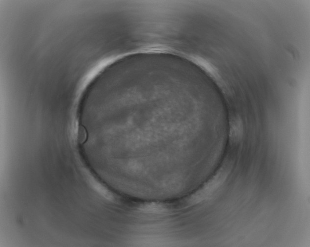 X0000114111414200910191653