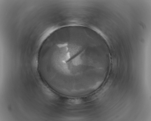 X0000114111415200910191653