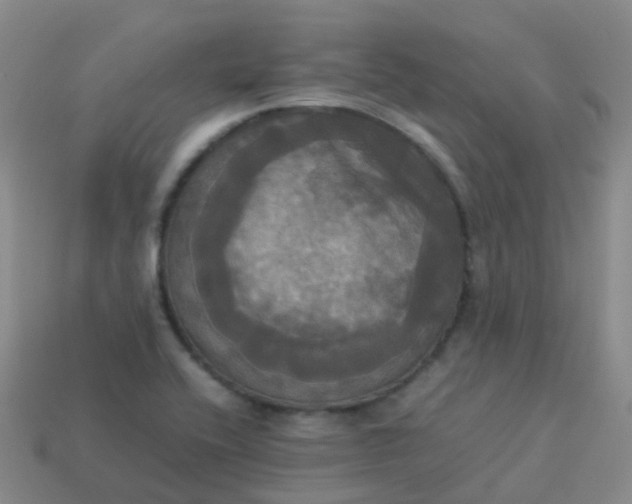 X0000114111416200910191653