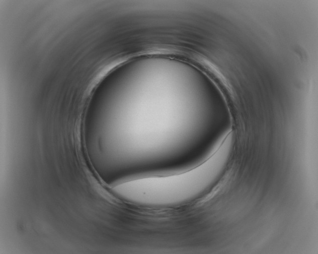 X0000114111417200910191653