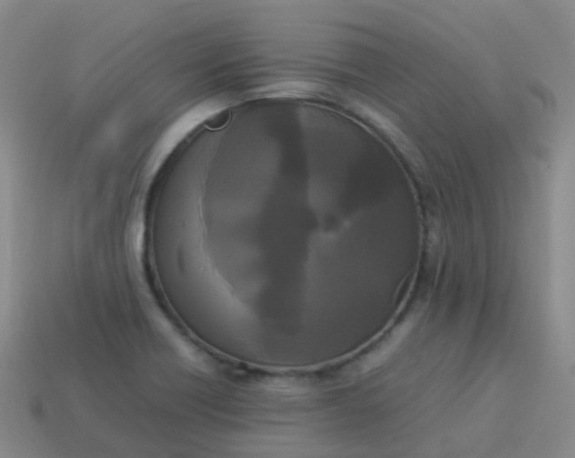 X0000114111418200910191653