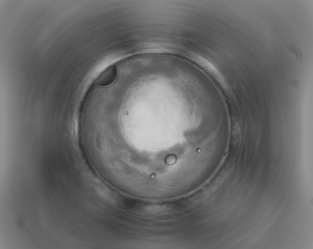 X0000114111419200910191653