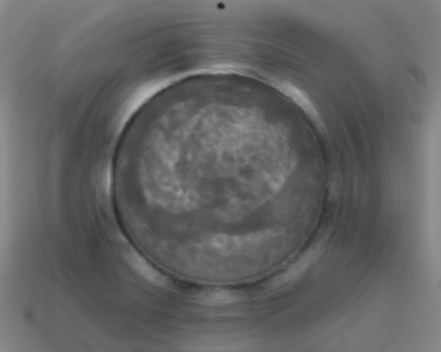 X0000114111420200910191653