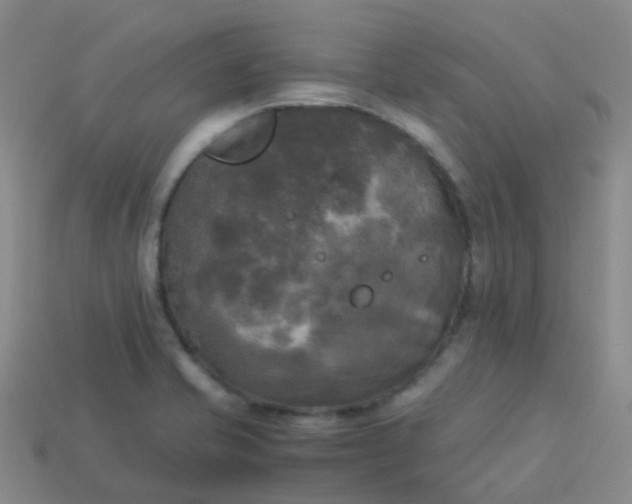 X0000114111421200910191653