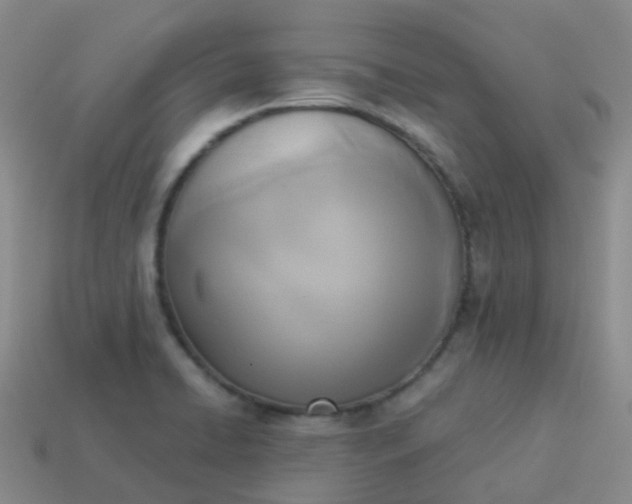 X0000114111422200910191653