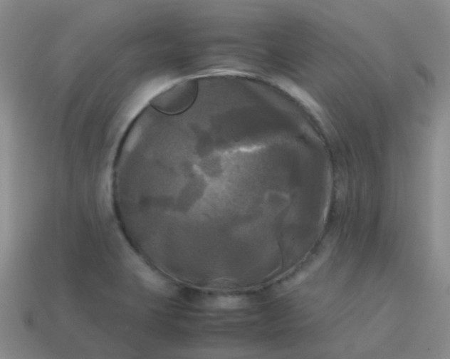 X0000114111423200910191653