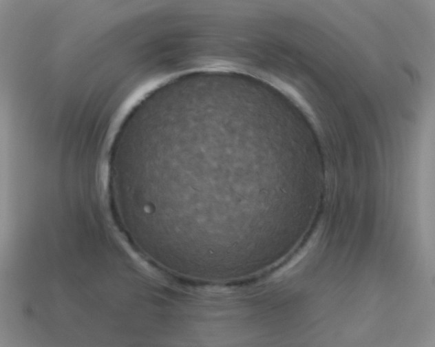 X0000114111424200910191653