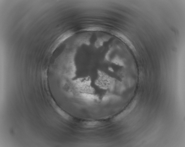 X0000114111425200910191653