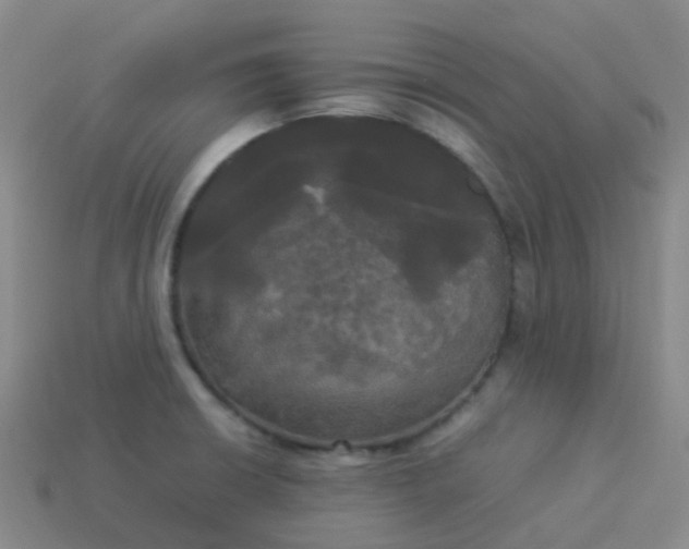 X0000114111426200910191653