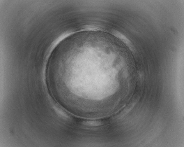 X0000114111427200910191653