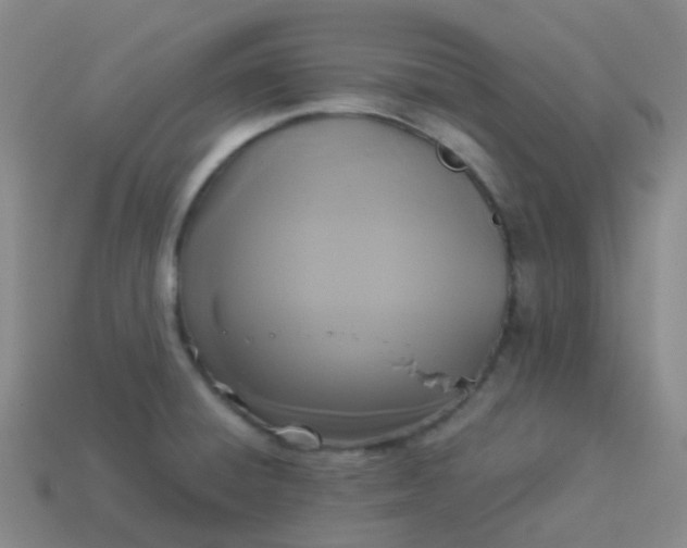 X0000114111428200910191653