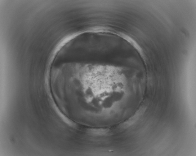 X0000114111429200910191653