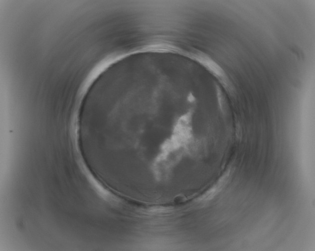 X0000114111430200910191653