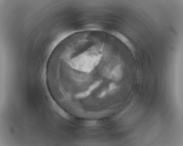 X0000114111431200910191653