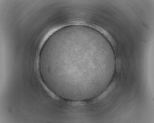 X0000114111432200910191653