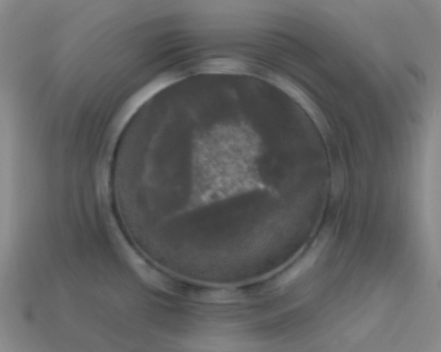 X0000114111434200910191653