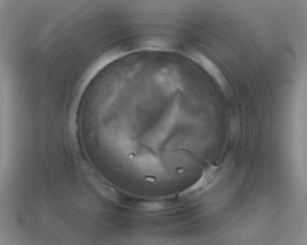 X0000114111435200910191653