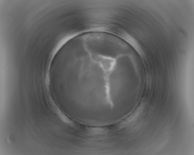 X0000114111436200910191653