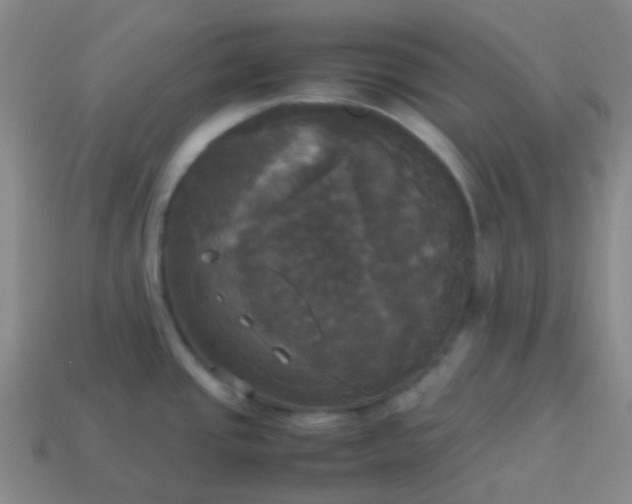 X0000114111437200910191653