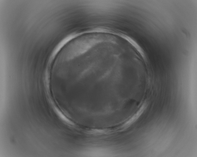 X0000114111438200910191653