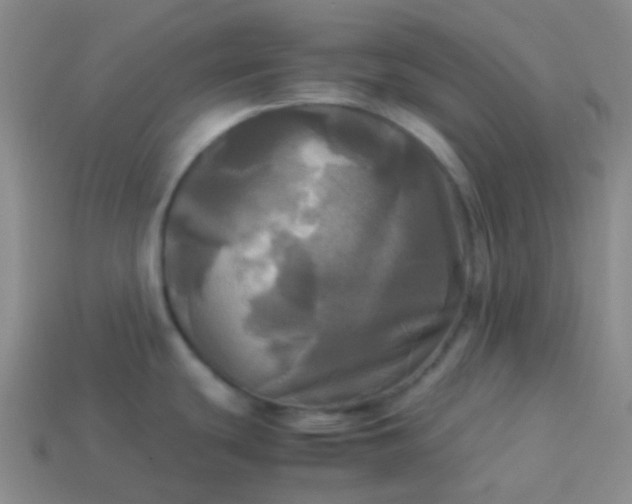 X0000114111439200910191653