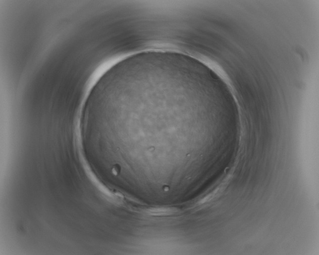 X0000114111440200910191653