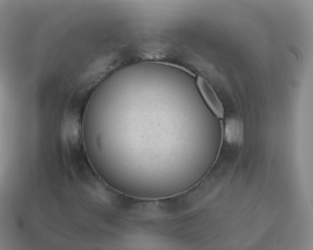 X0000114111444200910191653