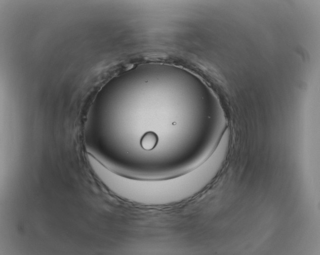 X0000114111445200910191653