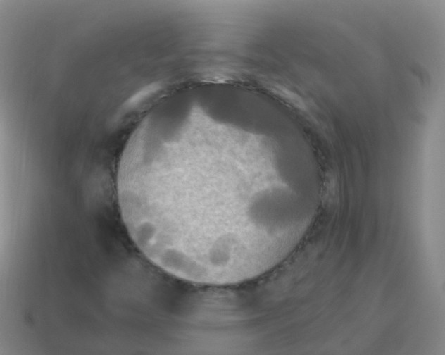 X0000114111446200910191653