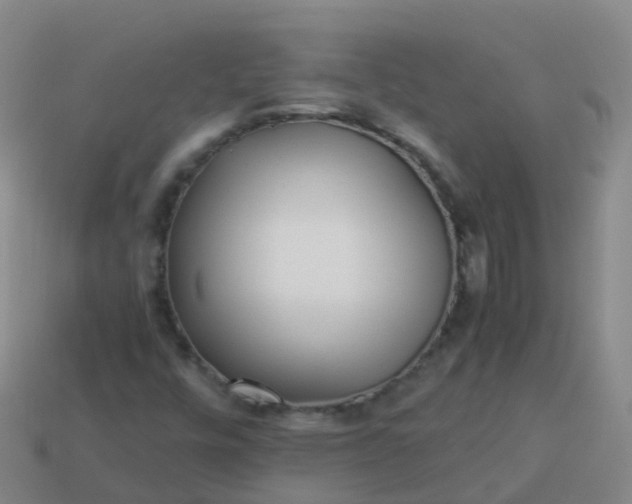 X0000114111448200910191653