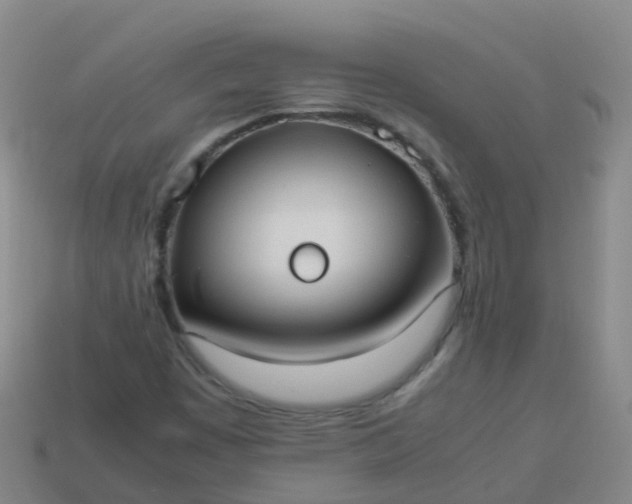 X0000114111449200910191653