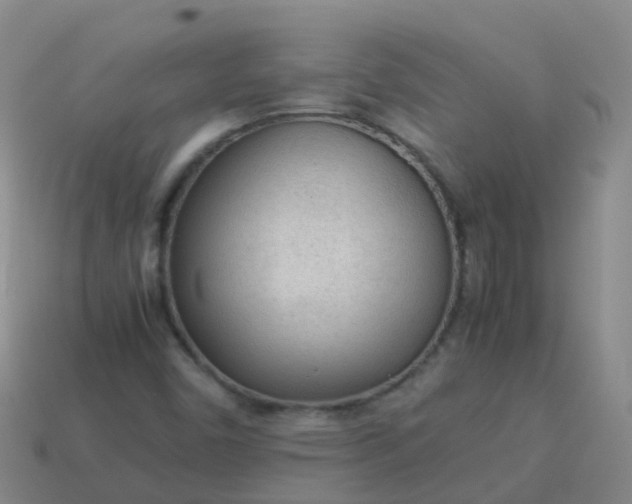 X0000114111450200910191653