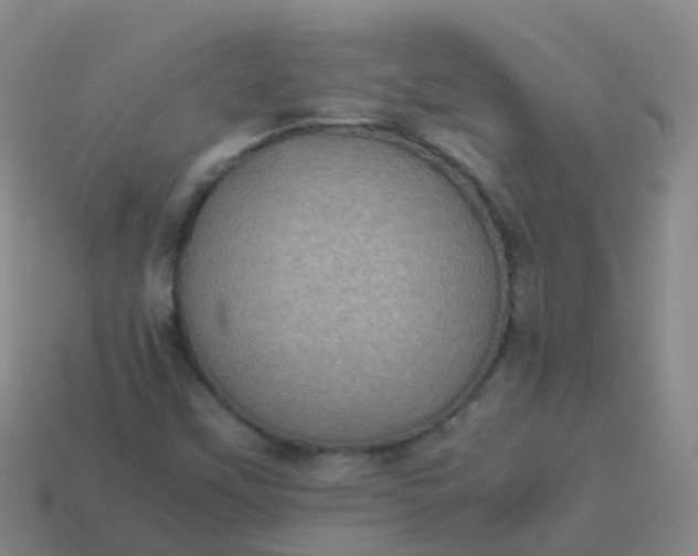 X0000114111451200910191653