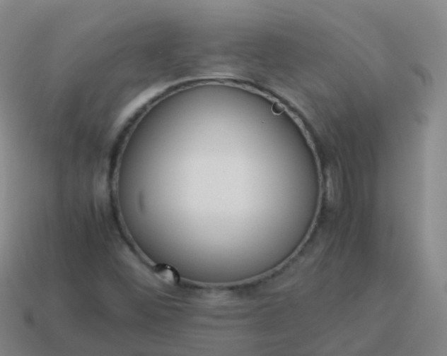 X0000114111452200910191653