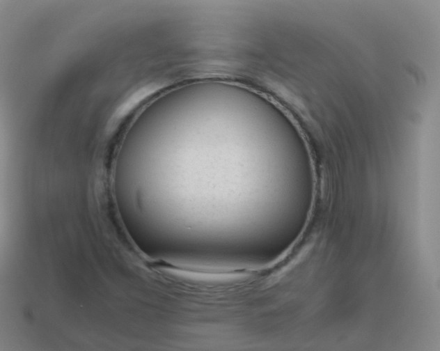 X0000114111453200910191653