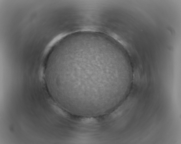 X0000114111454200910191652